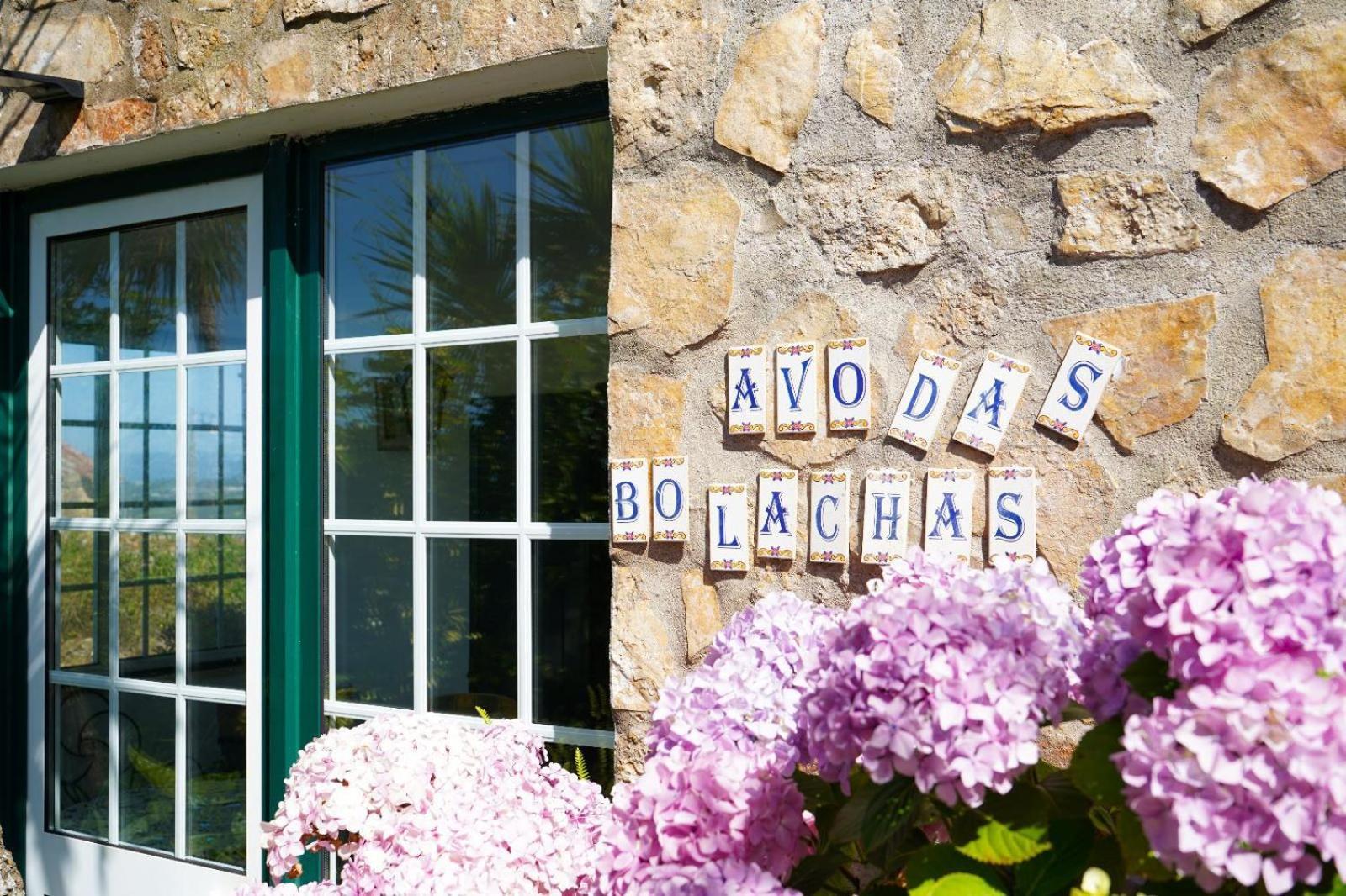 Avo Das Bolachas House Famalicão المظهر الخارجي الصورة